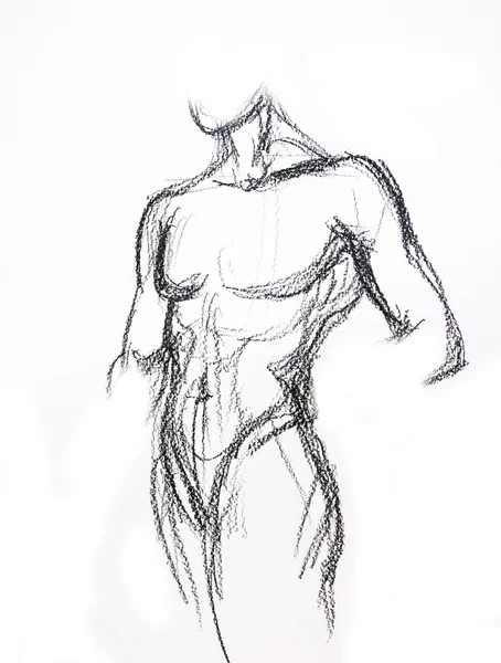 Man torso Sketch — Stockfoto