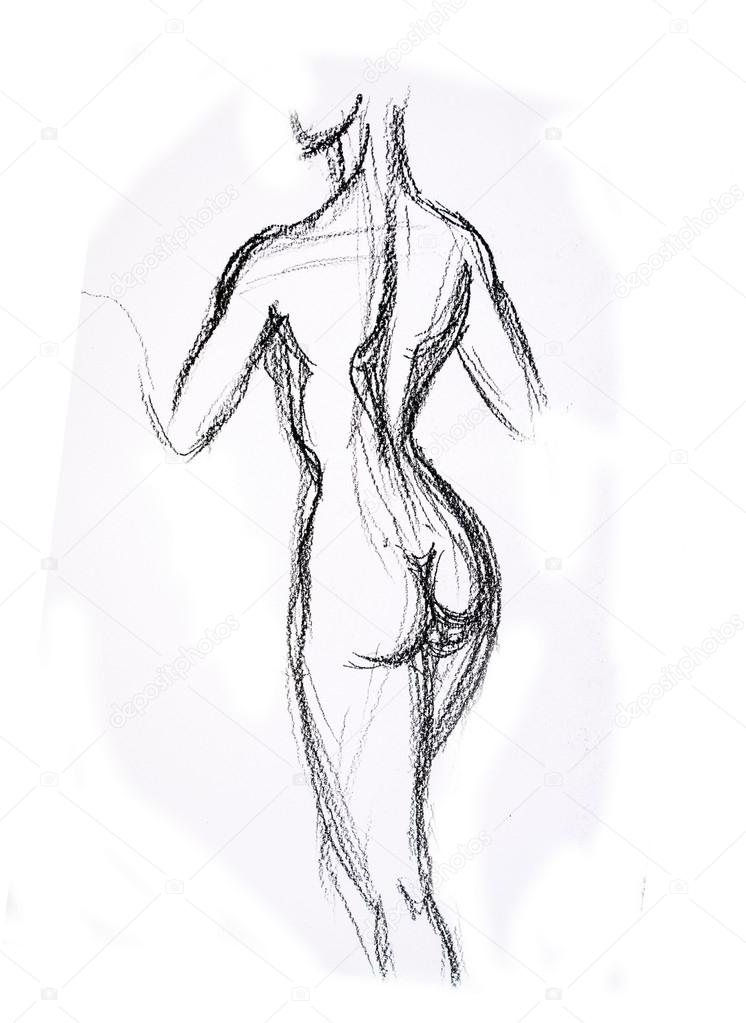 Woman torso Sketch