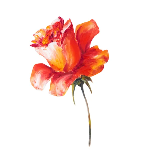 Rose isolated on white, oil painting — Stock Photo, Image