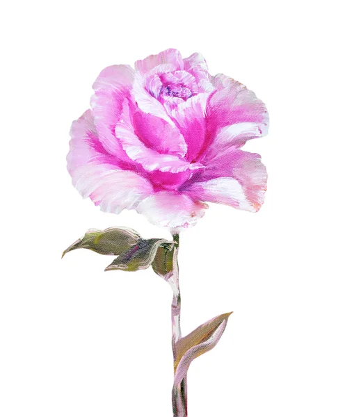 Rosa isolada em branco, pintura a óleo — Fotografia de Stock