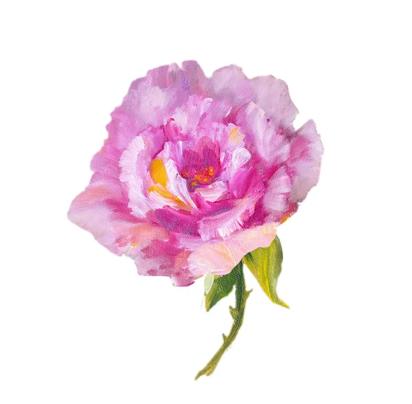 Róża na białym tle na biały, obraz olejny — Zdjęcie stockowe