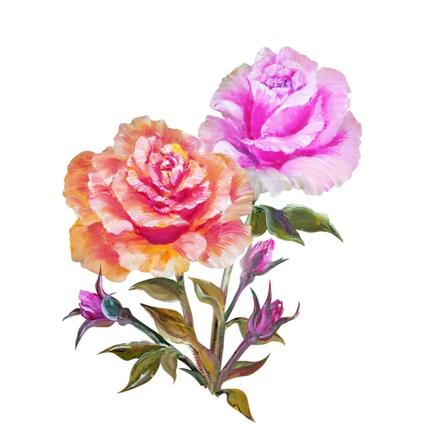 Rose izolovaných na bílém, olejomalba — Stock fotografie