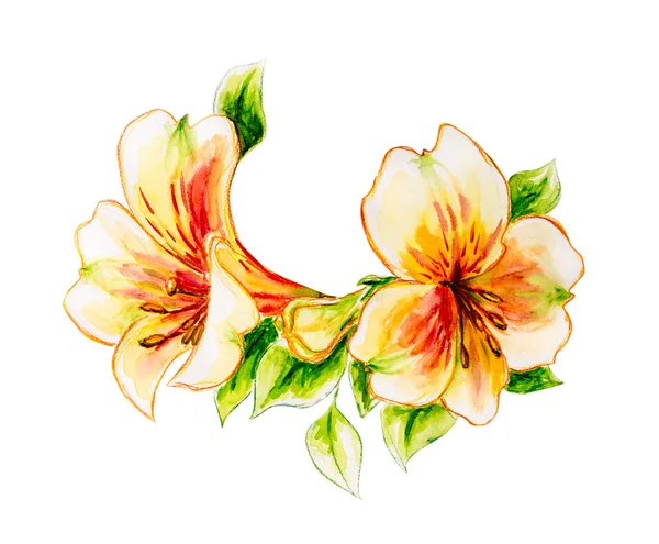 Lente bloemen aquarel. — Stockfoto