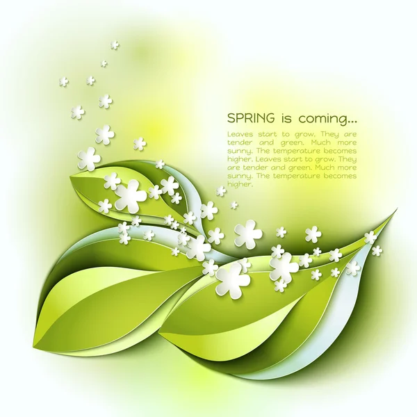 Spring abstract vector background. Green leaves and white flowers. — Stock Vector