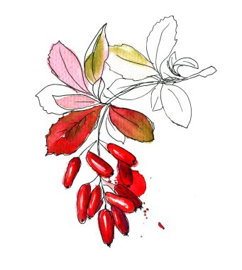 Kızamık el çizilmiş kroki