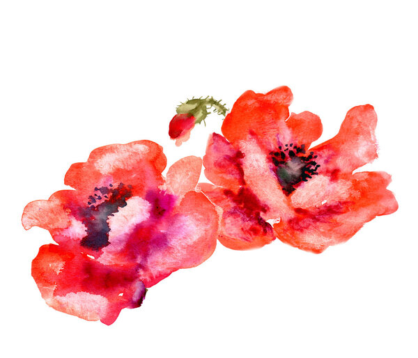 Цветочный мак
