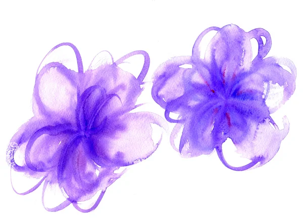 Watercolor flower shapes — Stock Photo, Image