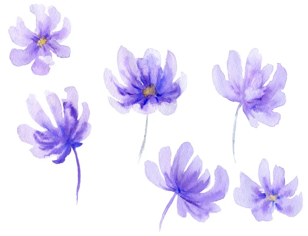 Watercolor flower shapes — Stock Photo, Image