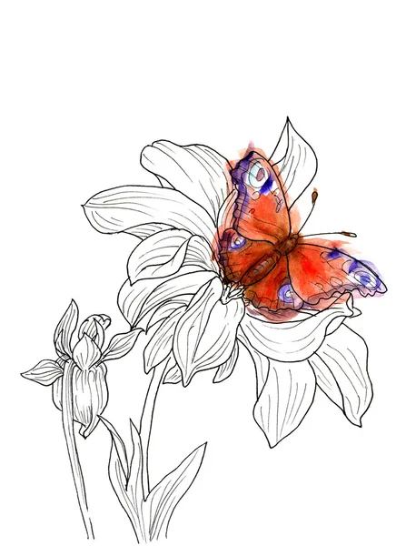 Dibujo de tinta de línea de flor de dalia — Foto de Stock