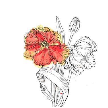 Lale ile el çizilmiş vektör