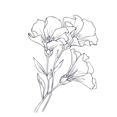 Elle çizilmiş vektör çiçekli