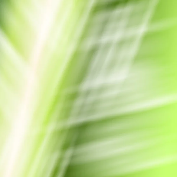 Abstracte witte groene achtergrond — Stockvector