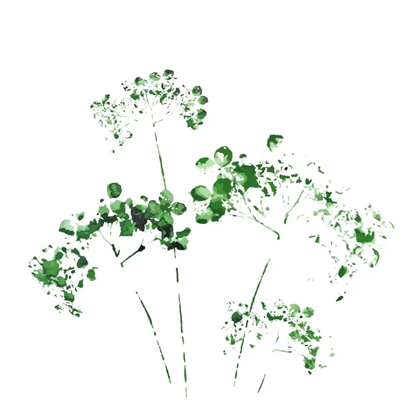 Aquarell Zeichnung wilder Blumen — Stockvektor