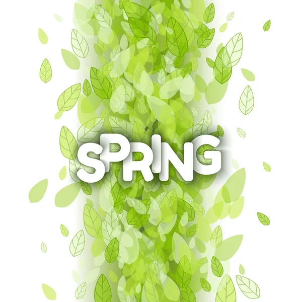 Letrero de primavera blanco sobre hojas verdes — Archivo Imágenes Vectoriales
