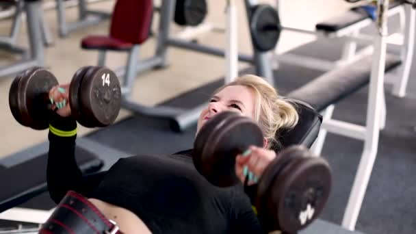 Hermosa chica deportiva se dedica al gimnasio. Levantando brazos con mancuernas — Vídeo de stock