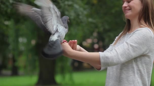 Vonzó, boldog lány, aki galambokat etet a parkban. Zabot tart a nyitott tenyerében. Galambok csipkedik a kezüket. Lassú mozgás.