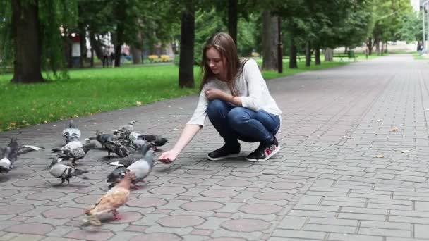 Atraktivní šťastná dívka, která krmí holuby v parku. Zpomalený pohyb — Stock video