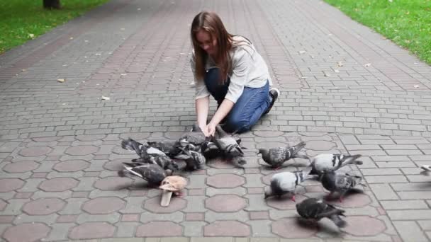 Atractiva chica feliz mano alimentación palomas en el parque. Movimiento lento — Vídeo de stock