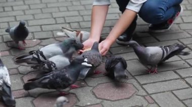 Çekici, mutlu kız parkta güvercinleri elle besliyor.. 