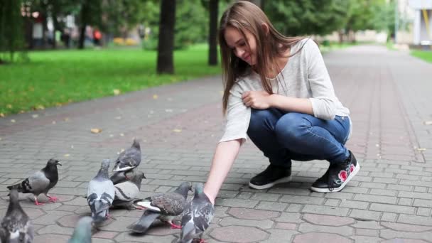 Attraktives glückliches Mädchen füttert Tauben im Park. — Stockvideo