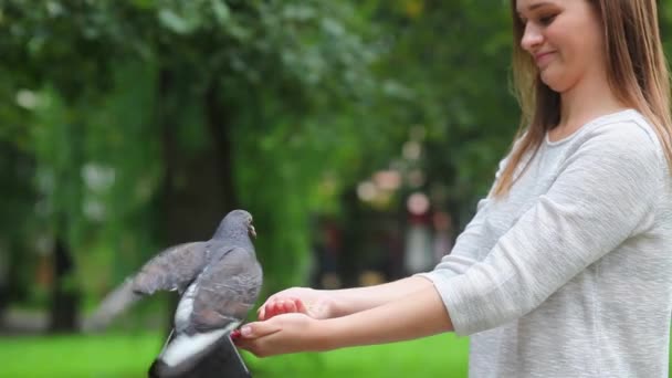 魅力的な幸せな女の子手給餌ハトでザ公園. — ストック動画
