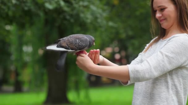 Attraktives glückliches Mädchen füttert Tauben im Park. — Stockvideo