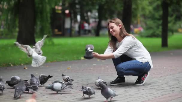Atractiva chica feliz alimentando palomas en el parque — Vídeo de stock
