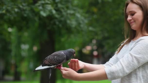 Atractiva chica feliz alimentando palomas en el parque. — Vídeo de stock
