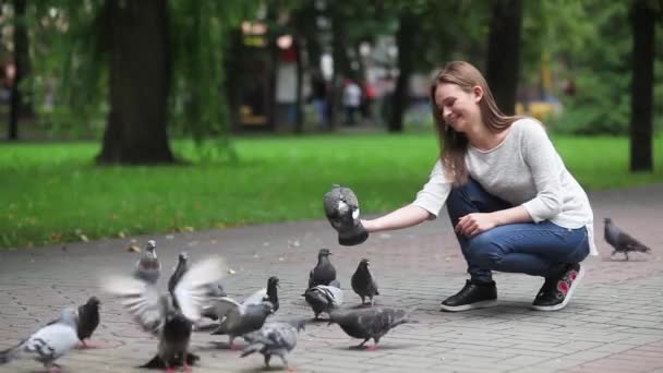 Vonzó boldog lány kézzel etető galambok a parkban. — Stock videók