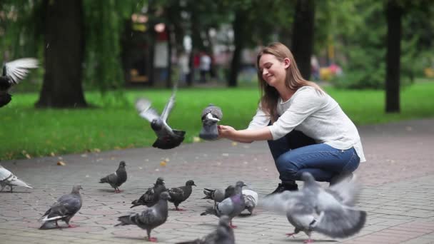 Attraktiv lycklig flicka hand matar duvor i parken. — Stockvideo