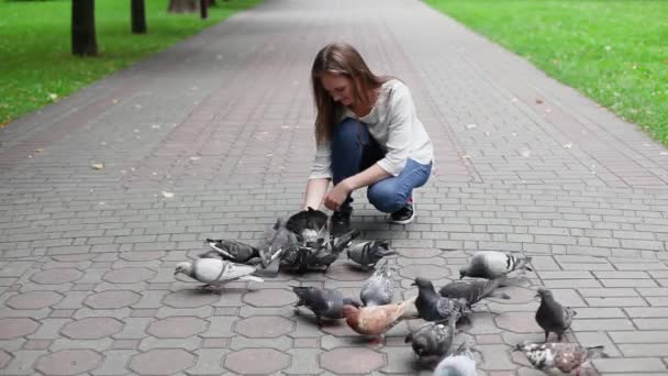 公園で幸せな女の子の手の餌ハト 彼女は手の平にオート麦を抱えている 鳩は手からつまむ — ストック動画