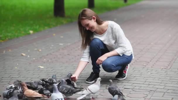 Atractiva Chica Feliz Mano Alimentación Palomas Parque Ella Sostiene Avena — Vídeo de stock