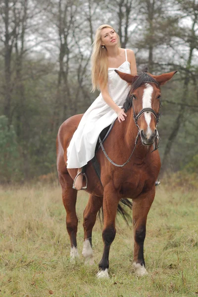 Девушка в белом платье на лошади в лесу — стоковое фото
