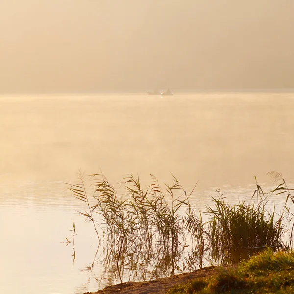 Fiskare i morgondimman — Stockfoto