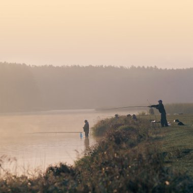 Bir balıkçı yakalar bir balık