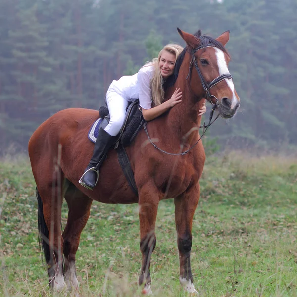 Romantic girl on brown horse — Stock Photo, Image