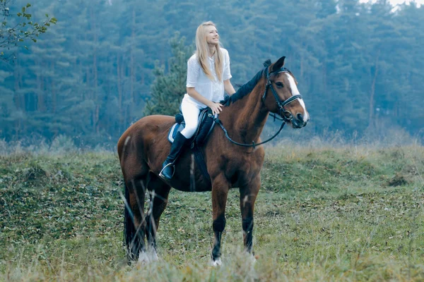 Романтичная девушка на коричневой лошади — стоковое фото