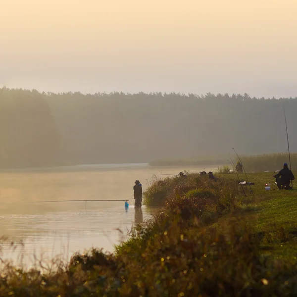 Рыбаки ловят рыбу — стоковое фото