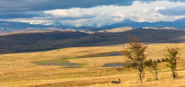 Şili Pampa Panoraması