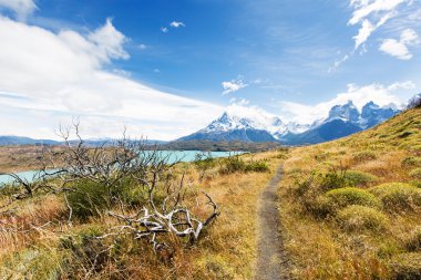 Torres Del Paine.