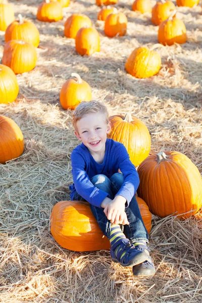 Kid op pompoen patch — Stockfoto