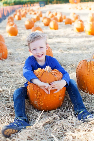 Kid op pompoen patch — Stockfoto