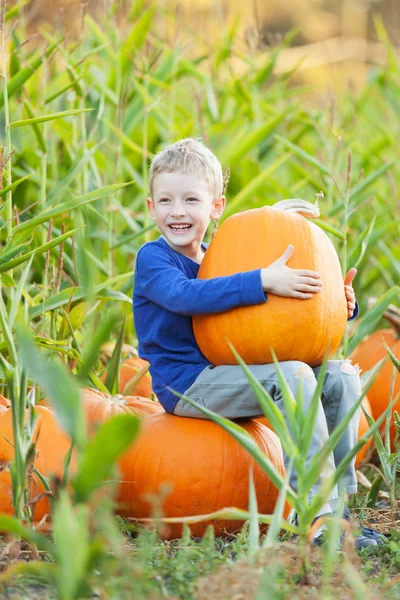 Playful kid with pumpkin — Stock Photo, Image