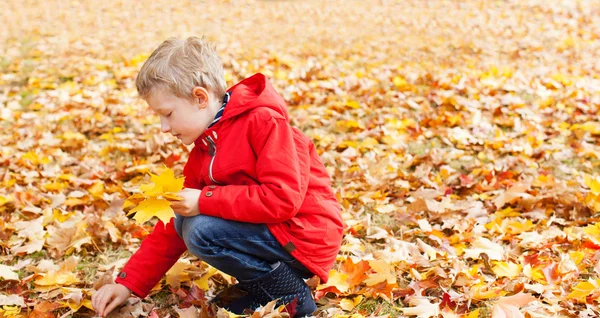 Niño en otoño — Foto de Stock