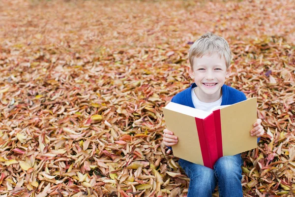 Kid at fall — Stock Photo, Image