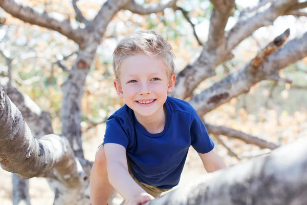 Ragazzo arrampicata l'albero — Foto Stock