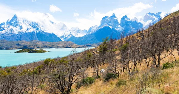 Panorama von Patagonien — Stockfoto