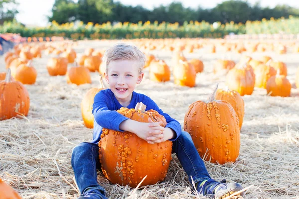 Boy at pumpkin patch — Stock Photo, Image