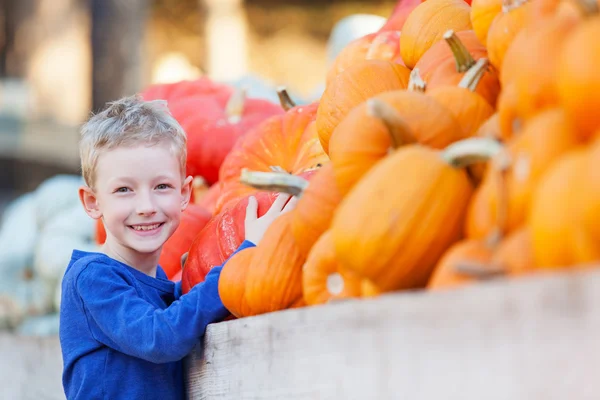 Jongen op pompoen patch — Stockfoto