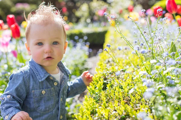 Niño en el parque — Foto de Stock